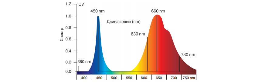650 660. Диаграмма длин волн света. Световой спектр график. Фитолампа длина волны. Лампа с длинной волны 450-500 НМ.